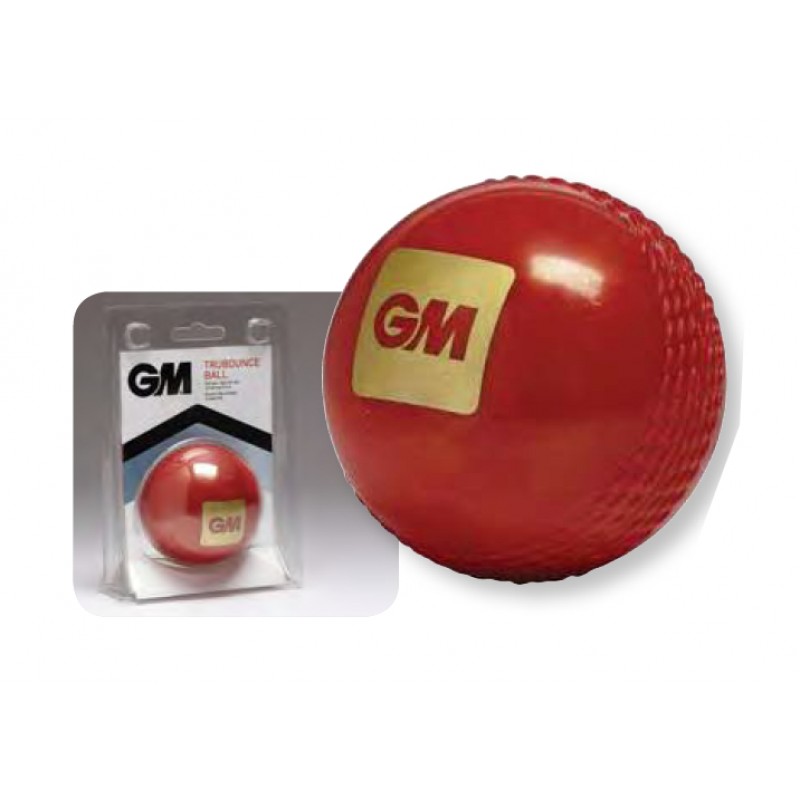 Buy Gm Cricket Synthetic Ball Red Online At Best Price On Sportsgeo