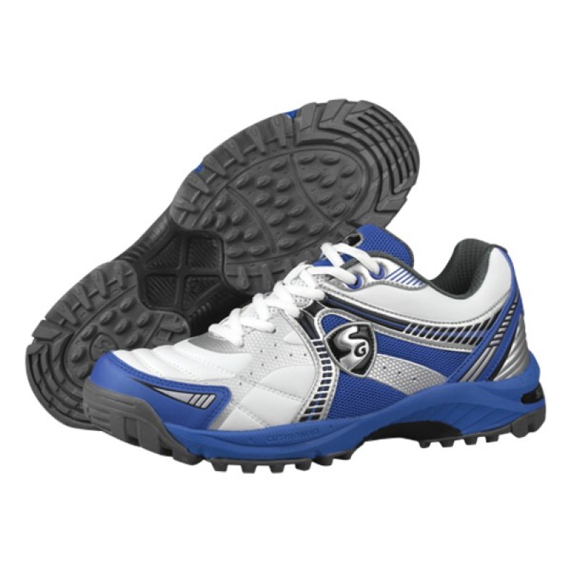 sg sports shoes price
