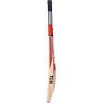 SS Professional English Willow Cricket Bat (SH)