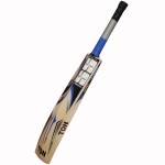 SS Waves English Willow Cricket Bat (SH)