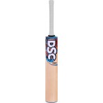 DSC Condor Blitzer Kashmir Willow Cricket Bat 