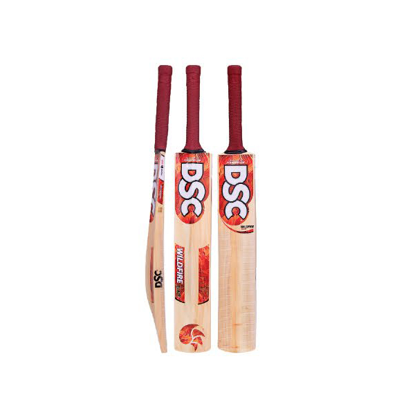 DSC Wildfire Blaze Kashmir Willow Cricket Bat