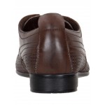 Provogue PV7107 Men Formal Shoes (Café')