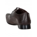 Provogue PV7116 Men Formal Shoes (Brown)