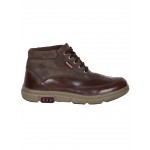 Provogue PV7145 Men Formal Shoes (Brown)