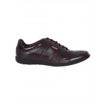 Provogue PV7134 Men Formal Shoes (Brown)