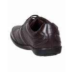 Provogue PV7134 Men Formal Shoes (Brown)