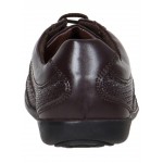 Provogue PV7134 Men Formal Shoes (Brown)