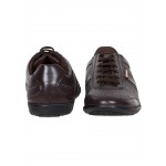 Provogue PV7134 Men Formal Shoes (Brown)